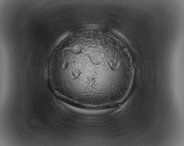X0000085051409200703051405