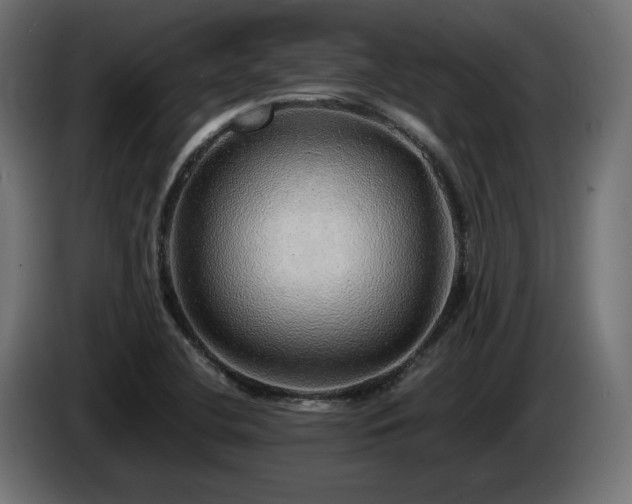 X0000085051412200703051405