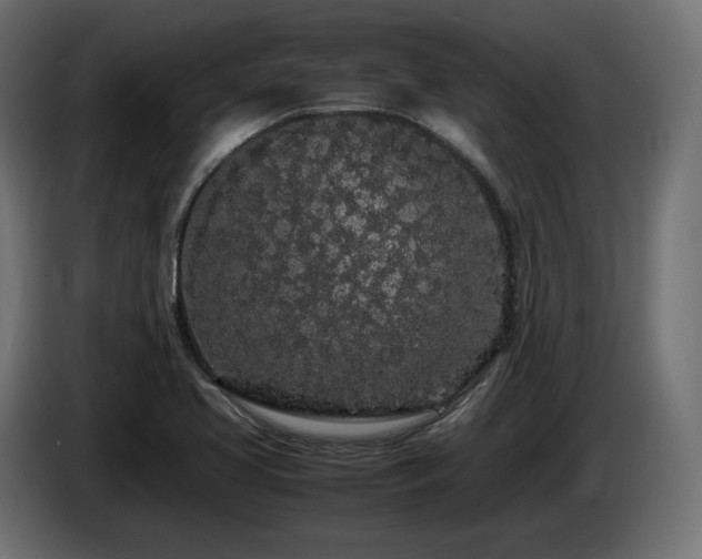 X0000085051413200703051405