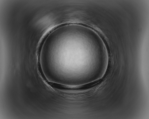 X0000085051416200703051405