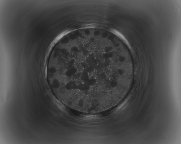 X0000085051419200703051405