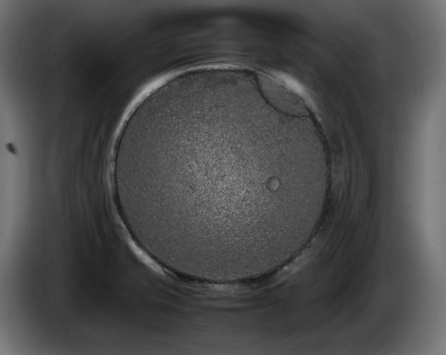 X0000085051421200703051405