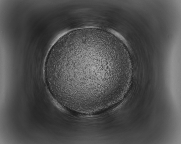 X0000085051423200703051405