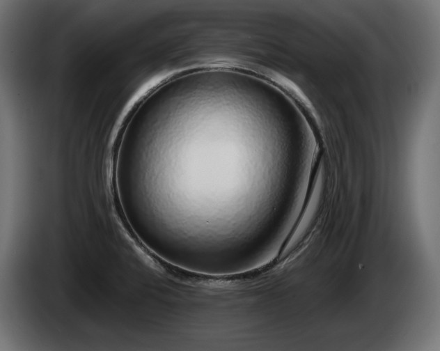 X0000085051424200703051405
