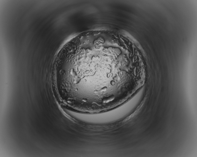 X0000085051425200703051405