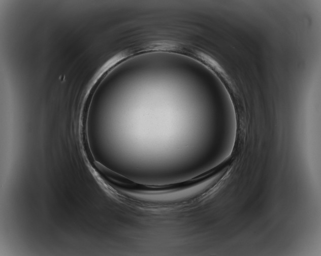 X0000085051426200703051405