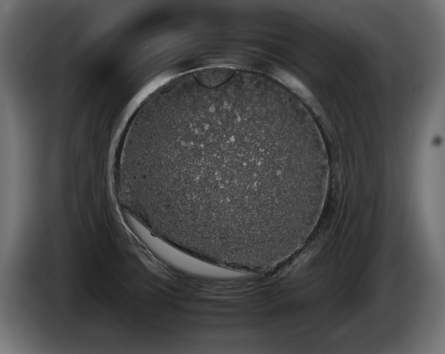 X0000085051427200703051405