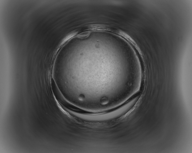 X0000085051433200703051405