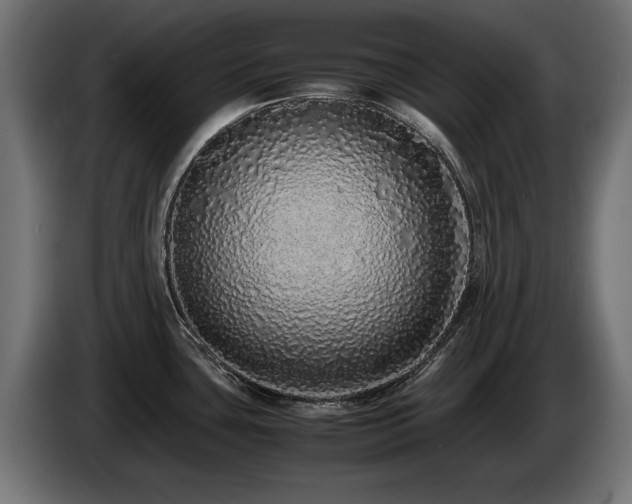 X0000085051435200703051405