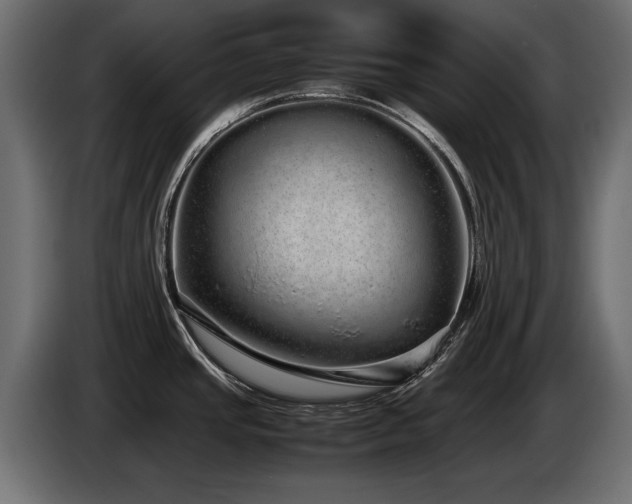 X0000085051437200703051406