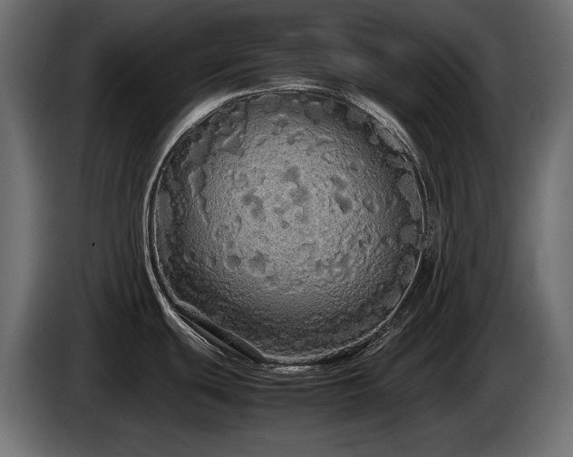 X0000085051439200703051406