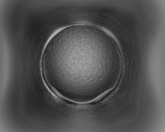 X0000085051440200703051406
