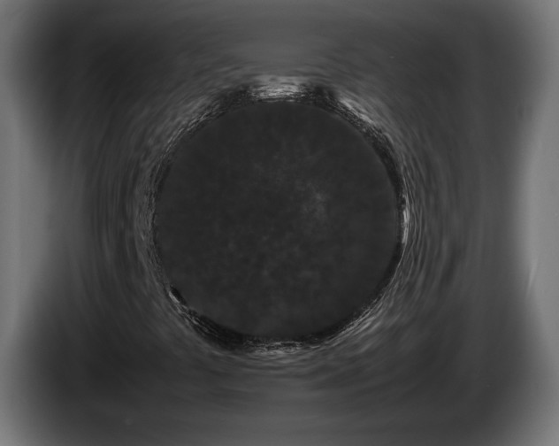 X0000085051441200703051405