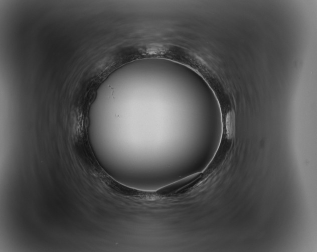 X0000085051443200703051405