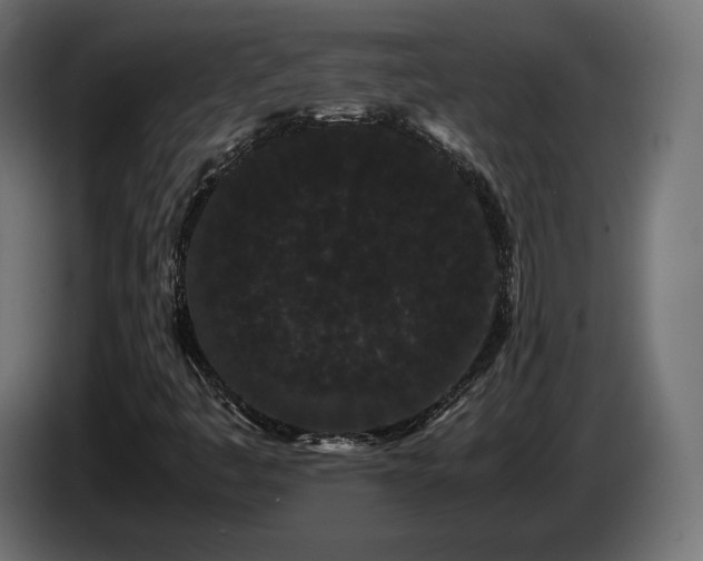 X0000085051445200703051404