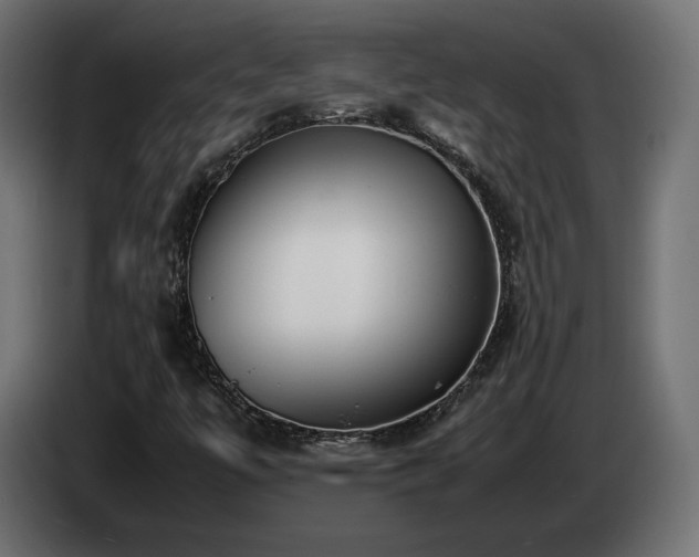 X0000085051447200703051404