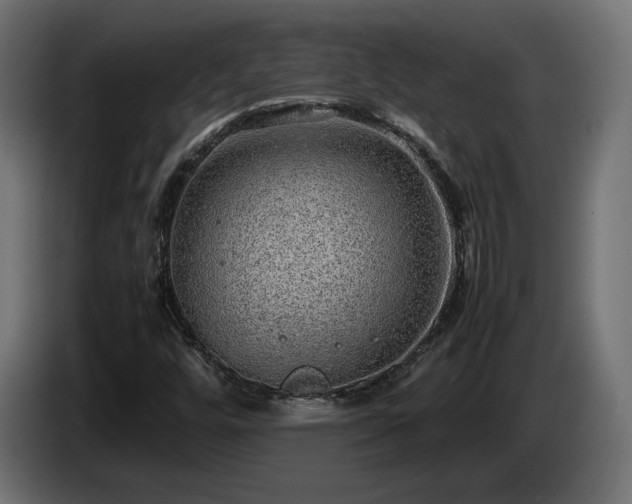 X0000085051448200703051404