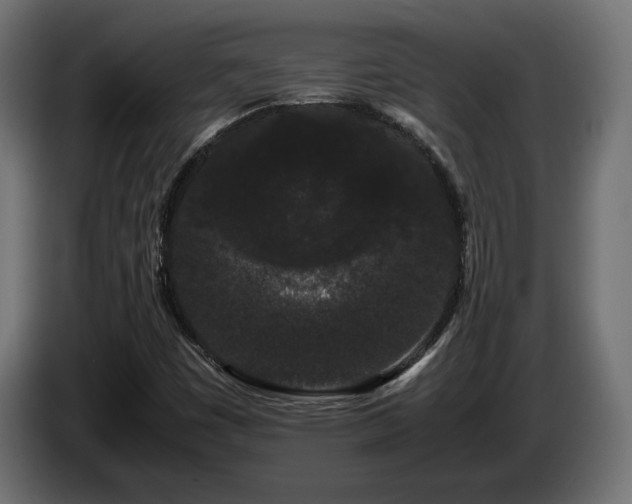 X0000085051449200703051404