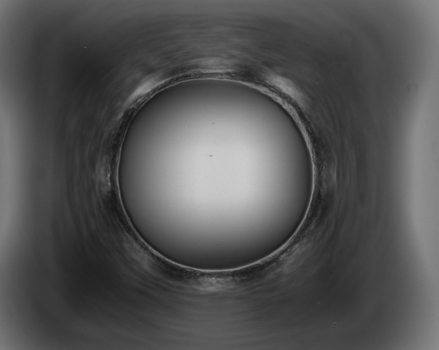 X0000085051451200703051404