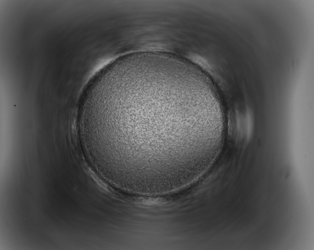 X0000085051452200703051404
