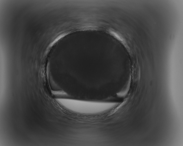 X0000085051453200703051404