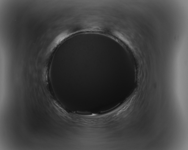 X0000085051455200703051404