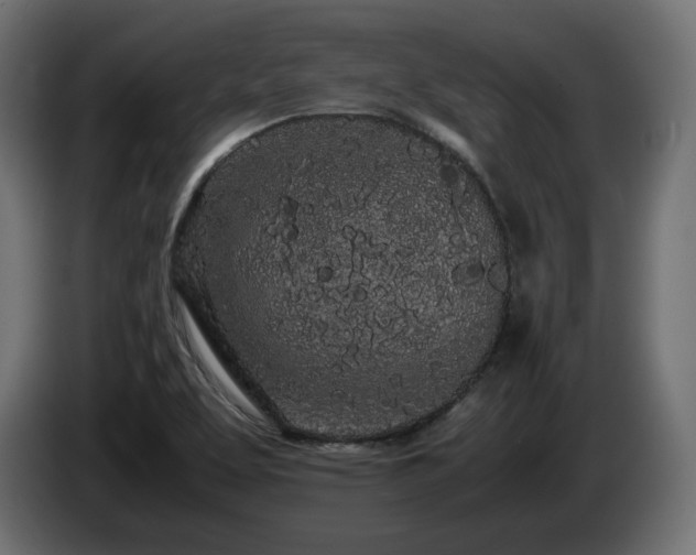 X0000085051463200703051404