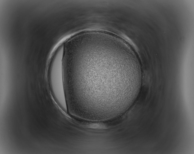 X0000085051464200703051404