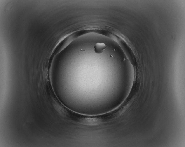 X0000085051465200703051404