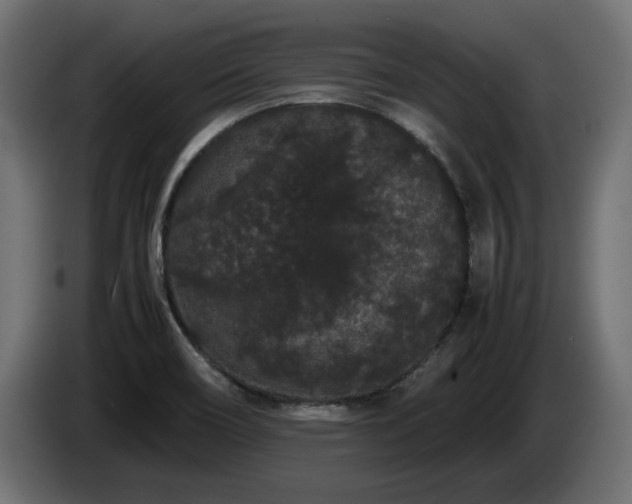 X0000085051466200703051404