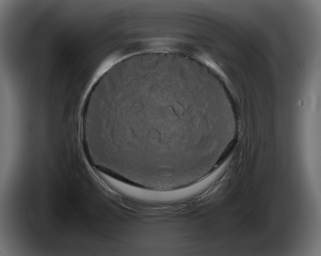 X0000085051467200703051404