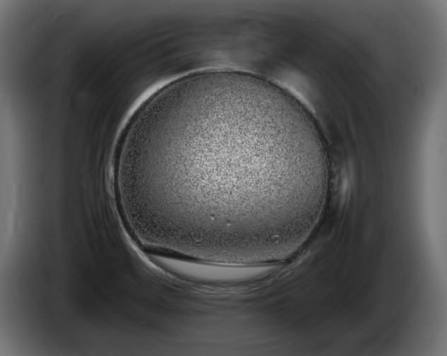 X0000085051468200703051404