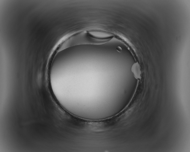 X0000085051469200703051404