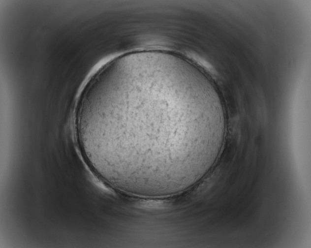 X0000085051470200703051404