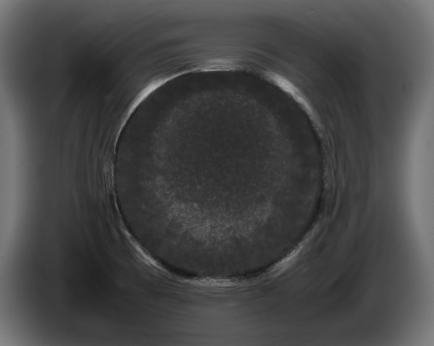 X0000085051473200703051404
