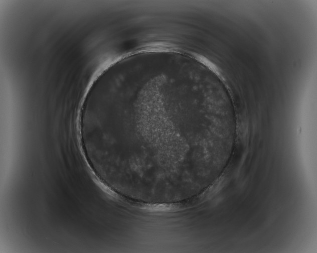 X0000085051474200703051404