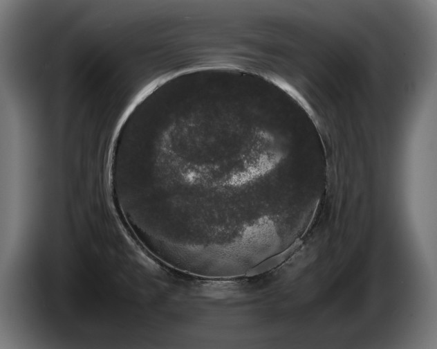 X0000085051477200703051404