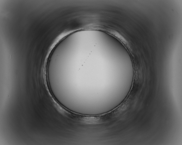 X0000085051478200703051404