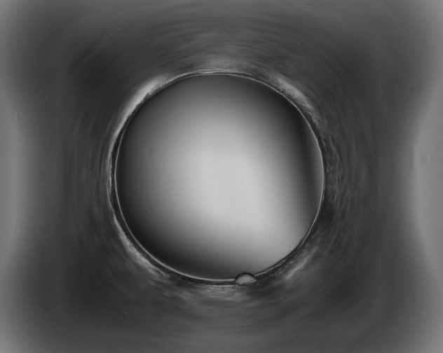 X0000085051479200703051404