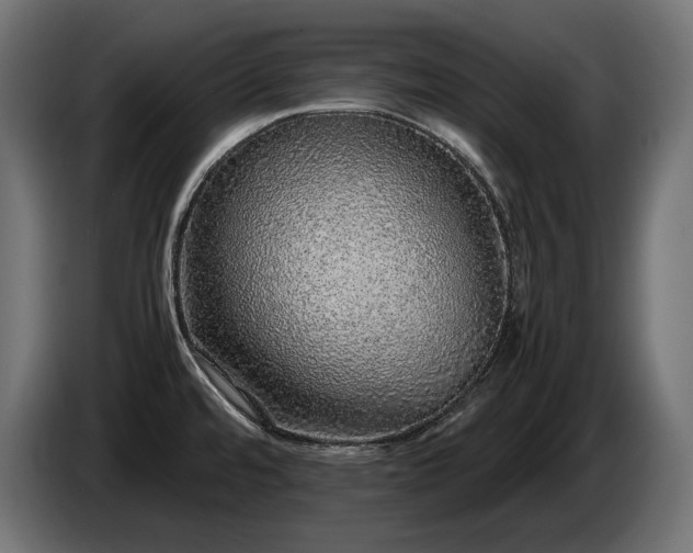 X0000085051480200703051404
