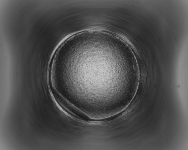 X0000085051484200703051404