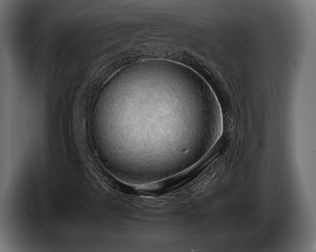 X0000085051489200703051403