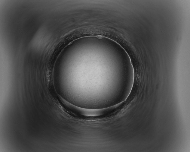 X0000085051490200703051403