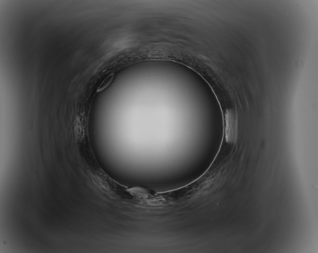 X0000085051491200703051403