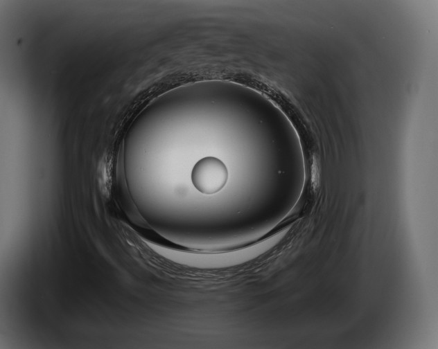 X0000085051492200703051403