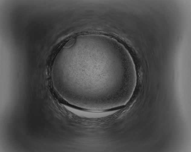 X0000085051494200703051403
