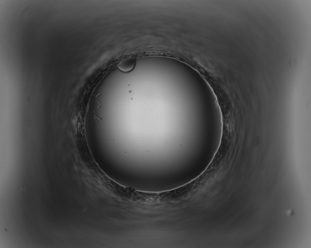 X0000085051495200703051403