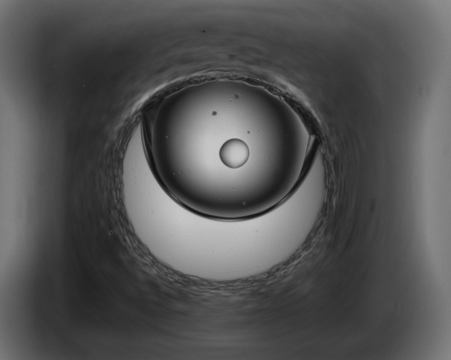 X0000085051496200703051403