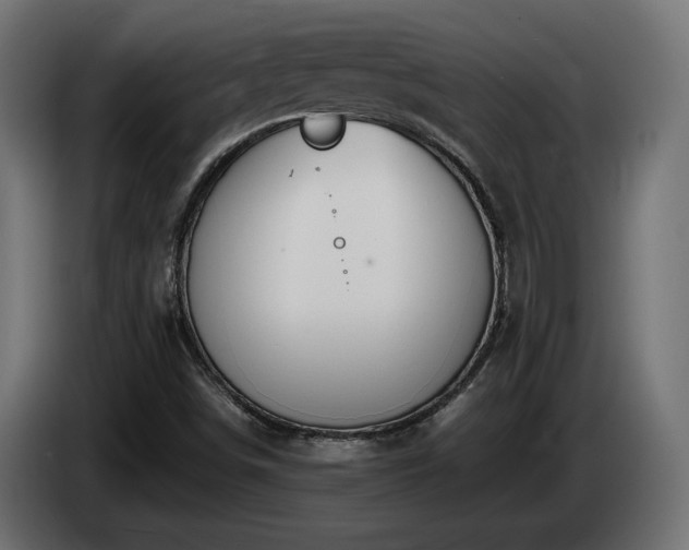 X0000085051498200703051403