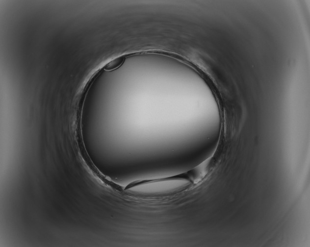 X0000085051500200703051403